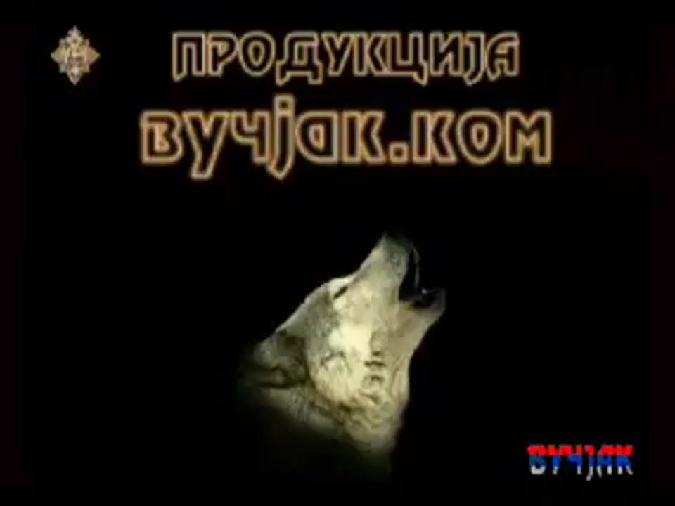 Турбофолкске Архива
