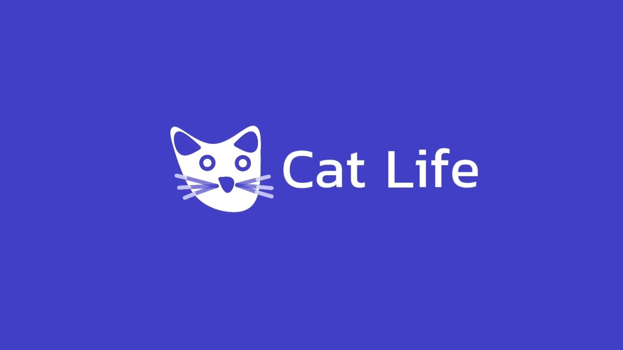 Жизнь Кота