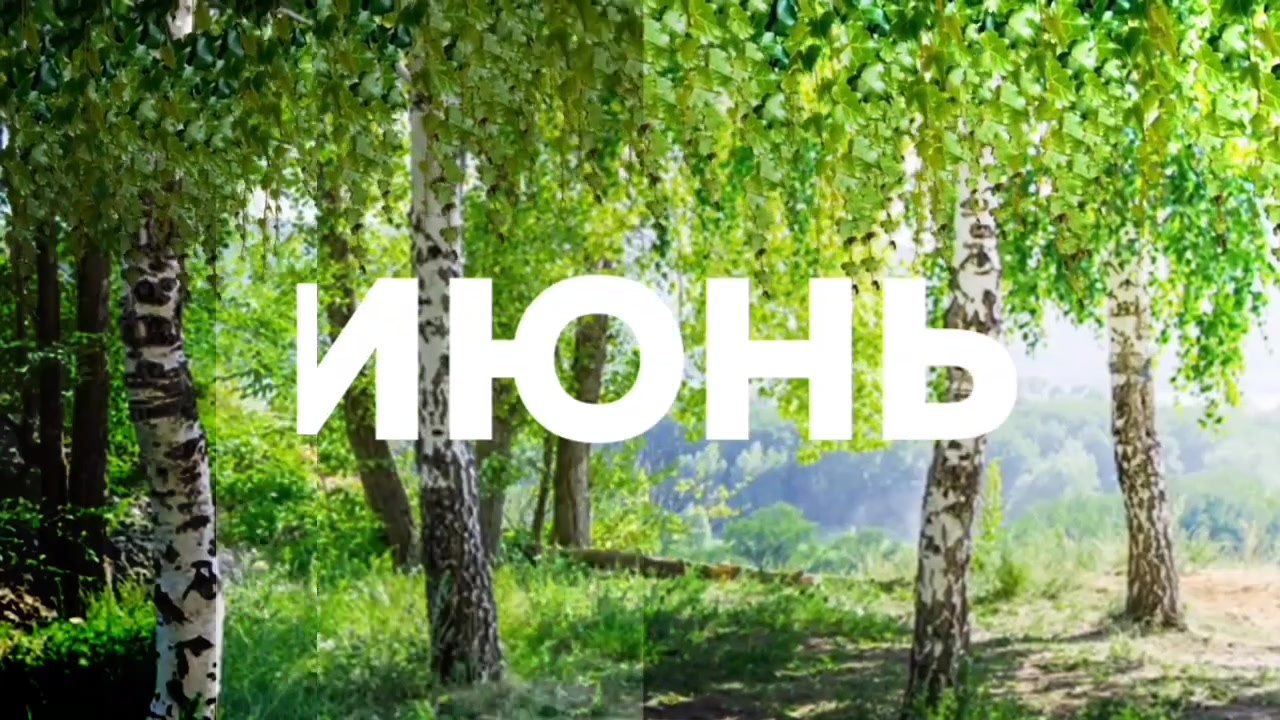 Новости чайника - 28 июня 2024